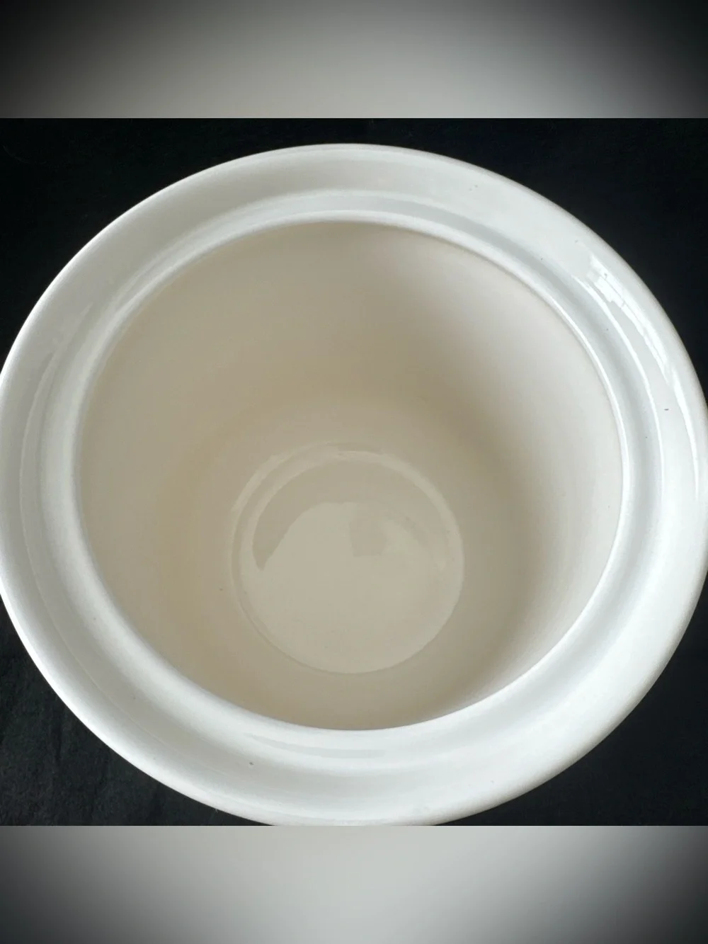 PFALTZGRAFF GRAPEVINE Large Canister Stoneware 9.5” Wine Vineyard Barware